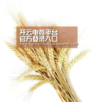 开云电竞平台 - 官方登录入口