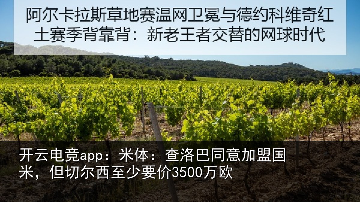 开云电竞app:米体:查洛巴同意加盟国米,但切尔西至少要价3500万欧