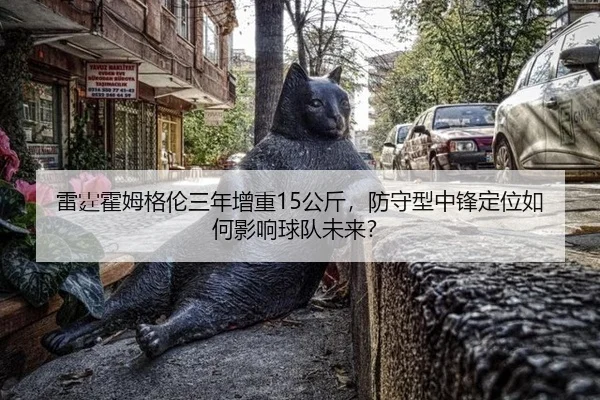 lei-ting-huo-mu-ge-lun-san-nian-zeng-zhong-gong-jin-fang-shou-xing-zhong-feng-ding-wei-ru-he-ying-xiang-qiu-dui-wei-lai-2-377.jpg