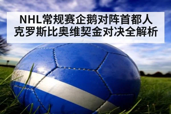 NHL常规赛企鹅对阵首都人 克罗斯比奥维契金对决全解析
