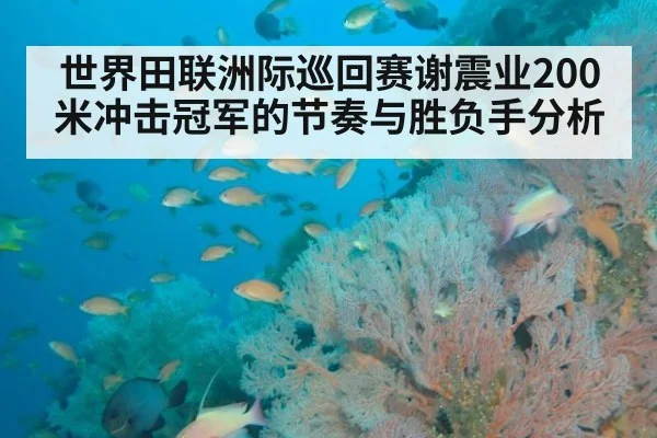 世界田联洲际巡回赛谢震业200米冲击冠军的节奏与胜负手分析