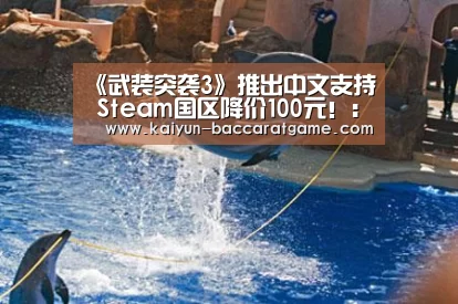 开云入口
